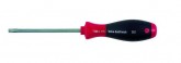 Wkretak-TORX-T25x100mm